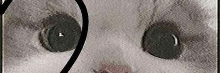 หนูดี้องัย's banner