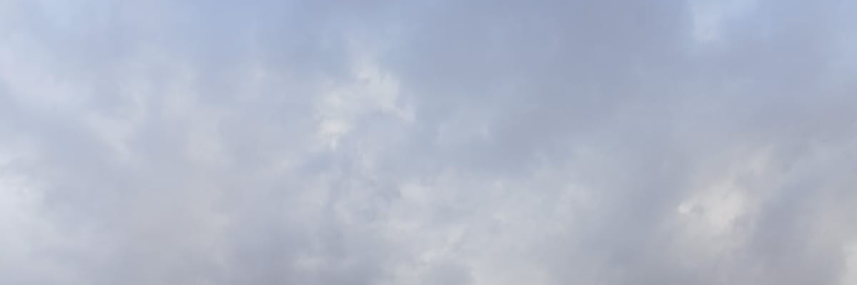 Secret Bators Network 🍆💦's banner