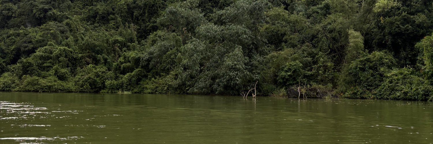 tôi không Gay , bạn Gay💀's banner