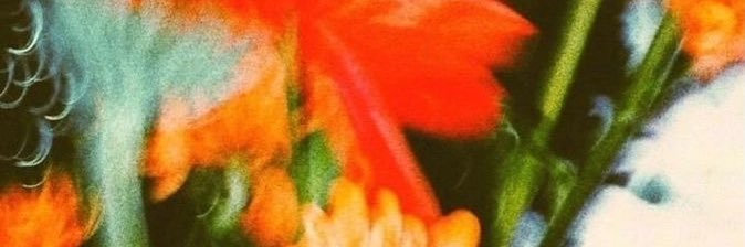 Fifi nim 🥰's banner