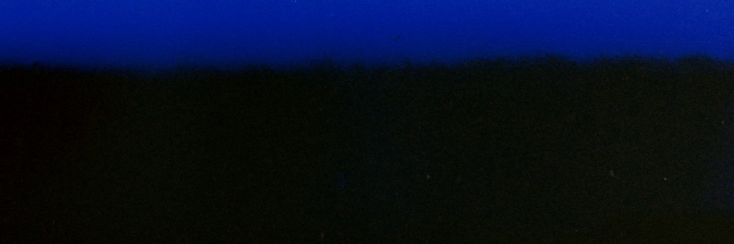 XODIAC Official's banner