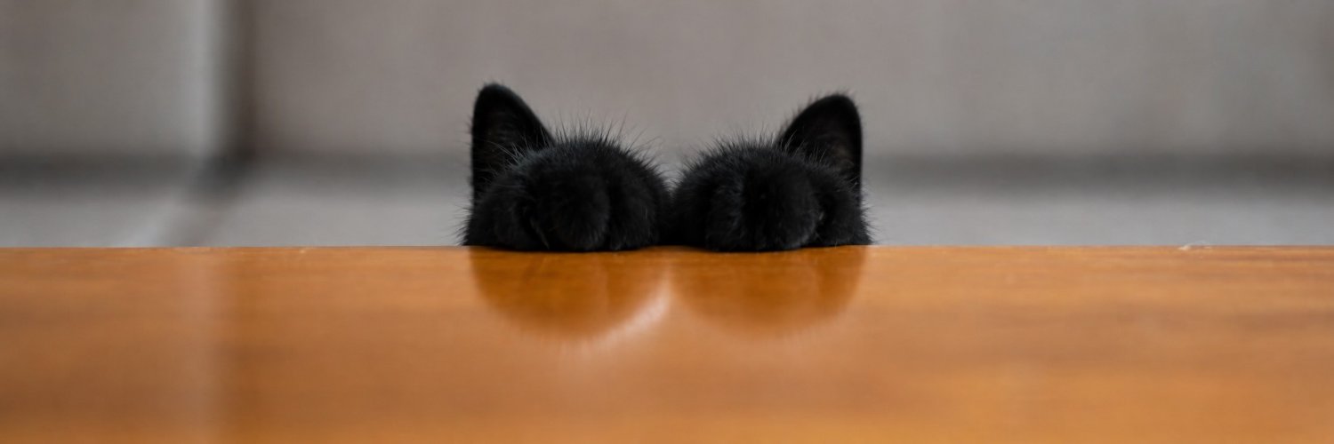 MeowKingdom's banner