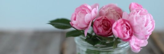 rosebeauty🥀's banner