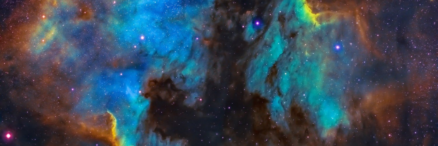 Longevity Escape Velocity Foundation's banner