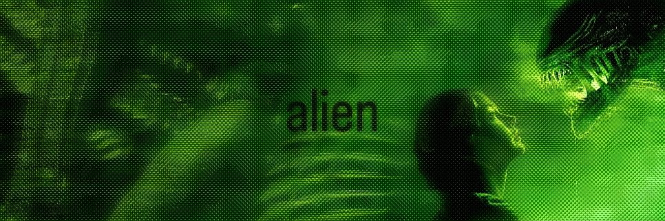 𓆣's banner