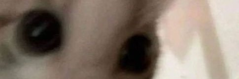 gina (🥇#1 Husk enjoyer)'s banner
