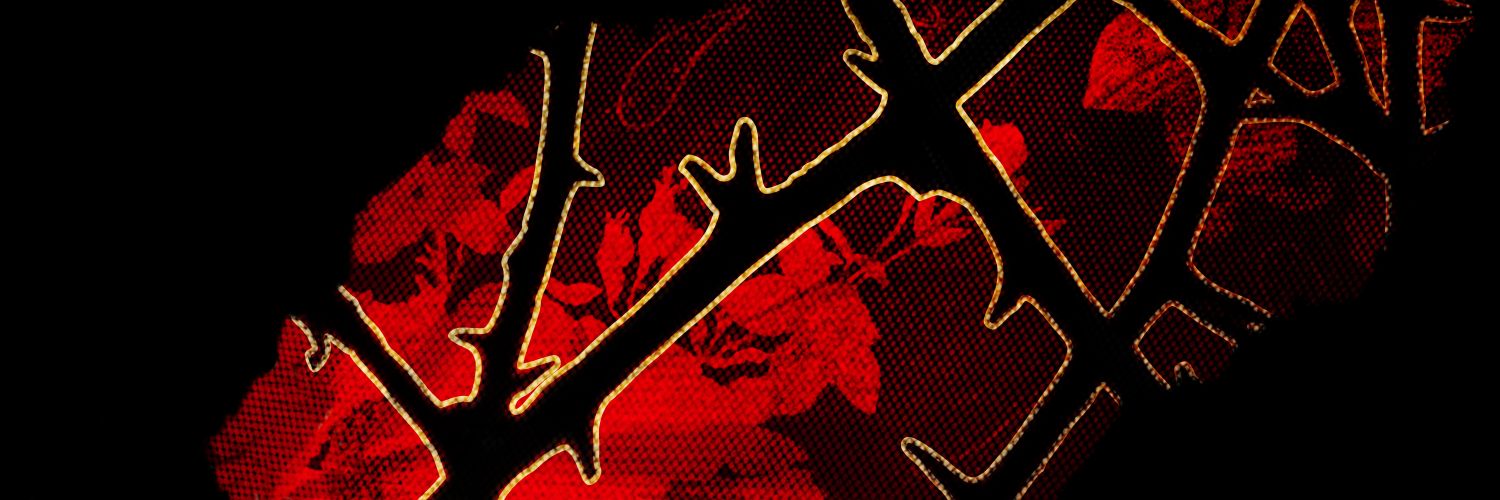 33A(ndria)🌹's banner