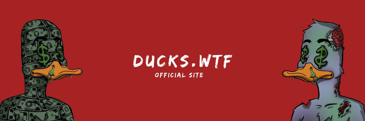 Sei Ducks WTF!?'s banner