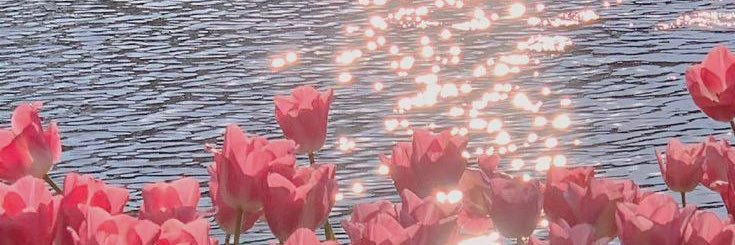 奥村 梨穂(Riho Okumura)'s banner