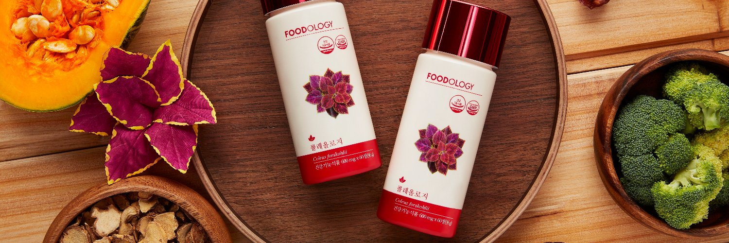 FOODOLOGY_japan's banner