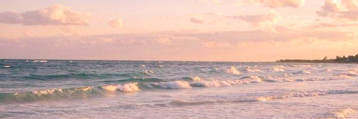 Hannah ⁷✩ | Seeing BTS 5/24/26 🩵's banner