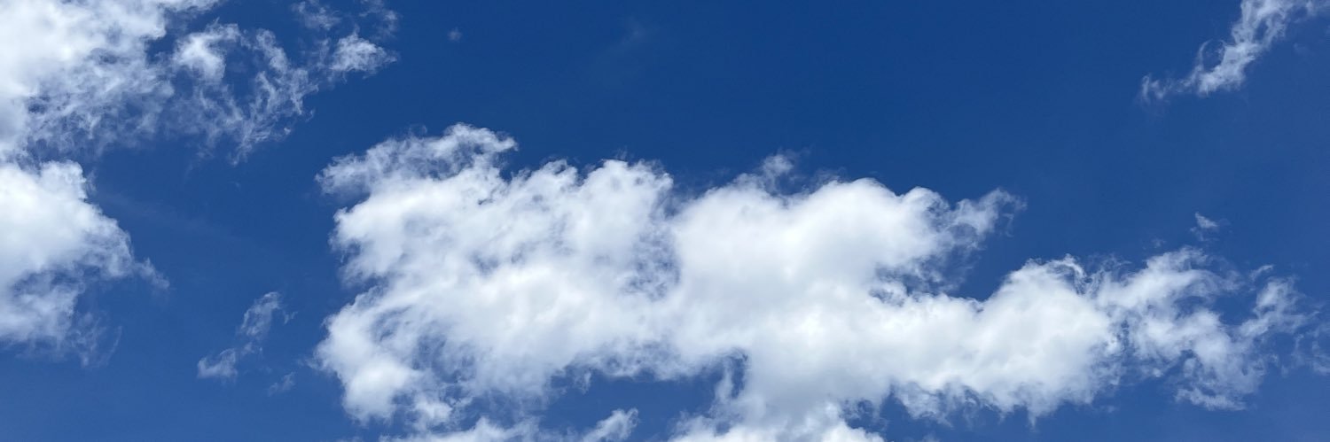 むぎちゃ's banner