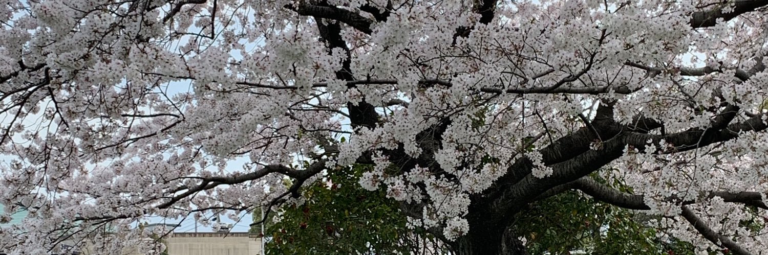 バイパー's banner