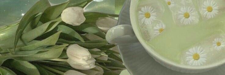ina's banner