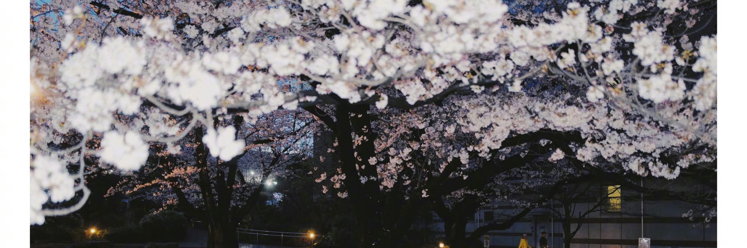 一井绿茶's banner