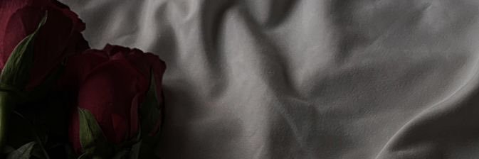fatalallure's banner