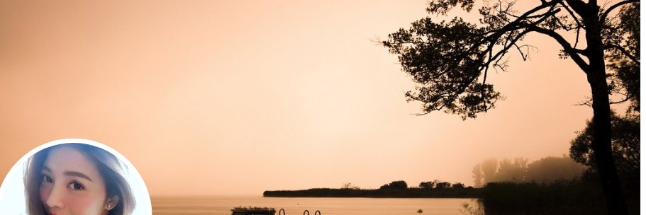 朵朵芸's banner