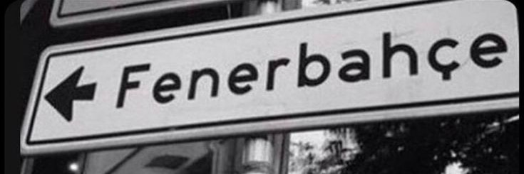 17's banner