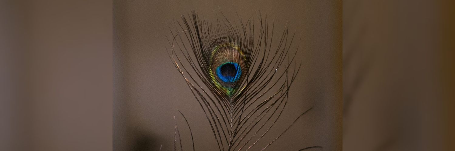 Pavão Misterious's banner