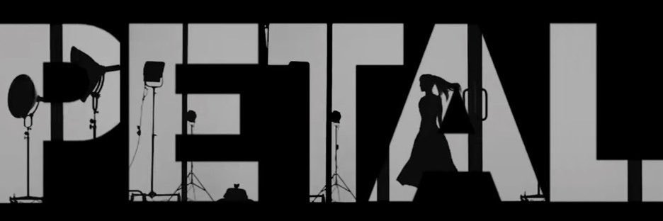 S's banner