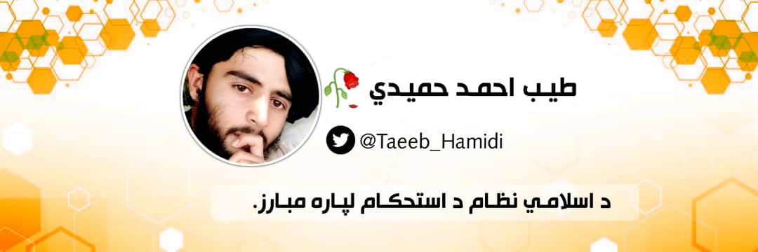 𝐓. 𝐀 𝐇𝐚𝐦𝐢𝐝𝐢 | طیب احمد حمیدي's banner