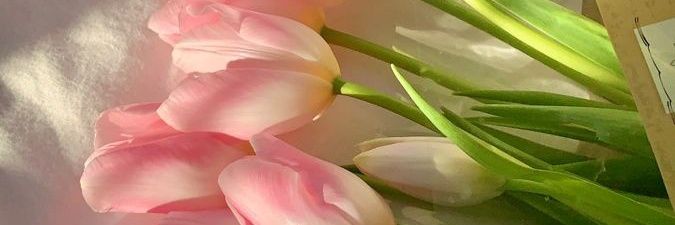 AEYAEY💗🌷's banner