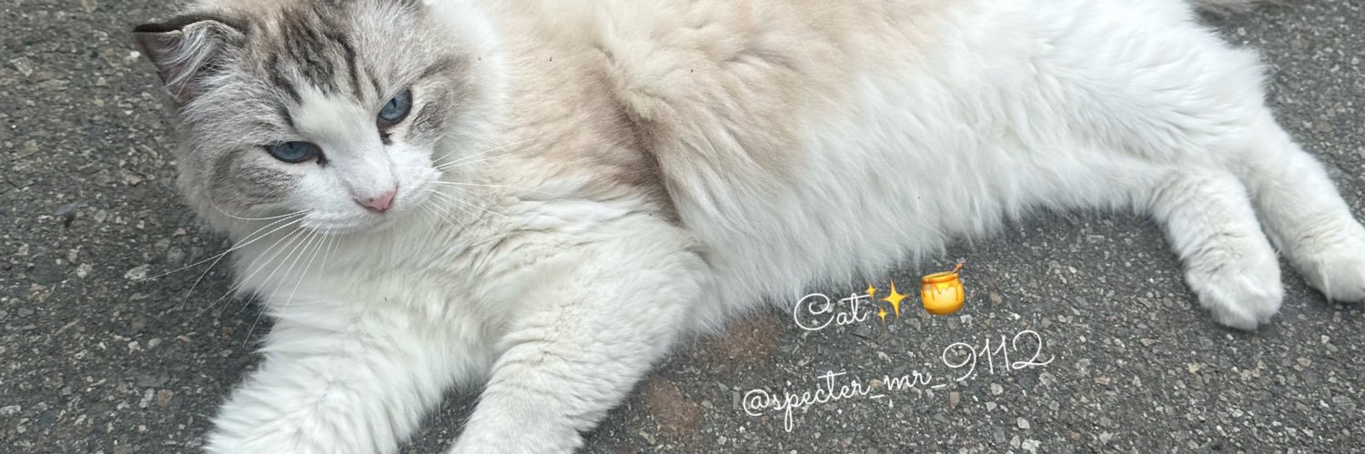 一坨貓貓🐈‍⬛ ᶻ 𝘇 🐾₊⁺🍯's banner