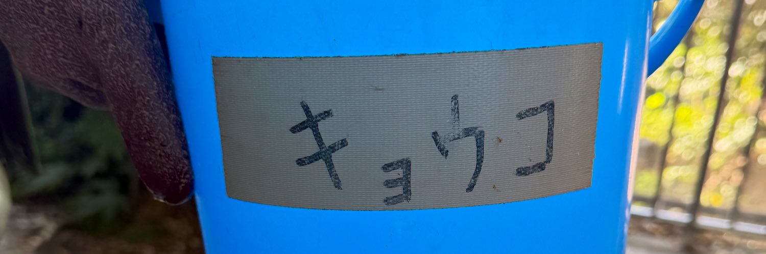 なかよしクマちゃんねる's banner