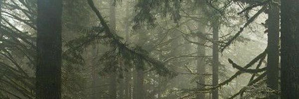 max 🌱┊kieran's lover ⋆˚࿔'s banner