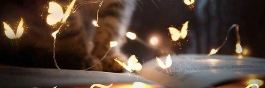 Alisa_Vasilisa's banner
