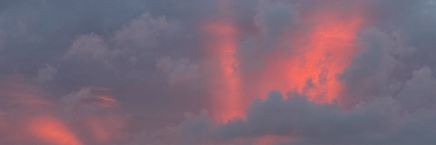 Levi Wrangler's banner