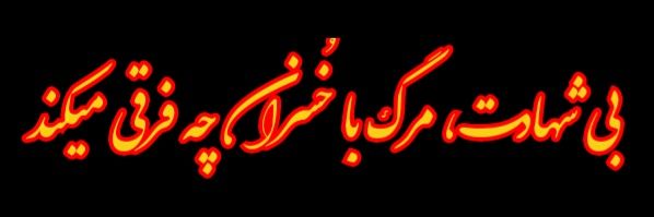 آقا محمد's banner