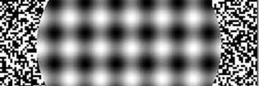 ShaDanCDMX2's banner