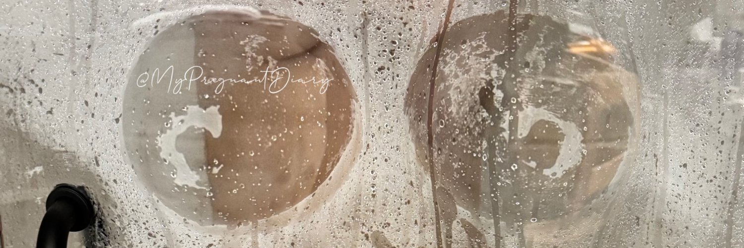 My Pregnant Diary 🍼 (142k)'s banner