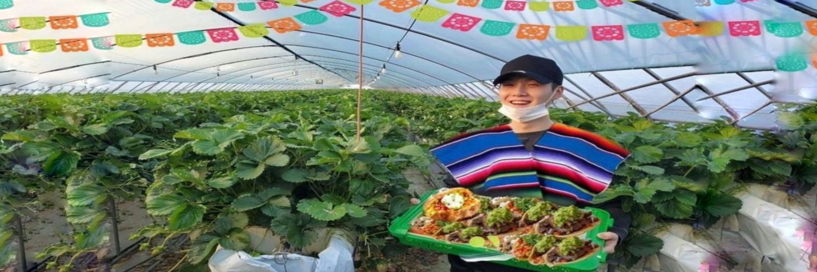 taehyung mexicano's banner