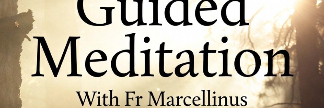 Dee Macé's banner