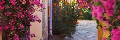 mimi's banner