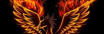 Lady Phoenix's banner