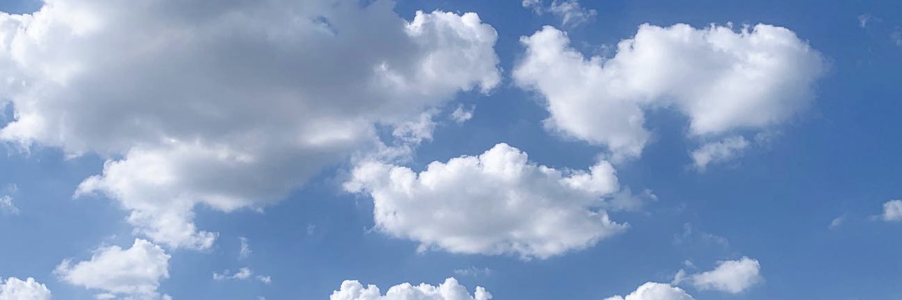 恵み(Megumi_May)'s banner