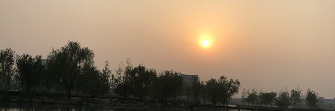金莲情趣小店（R有售）'s banner
