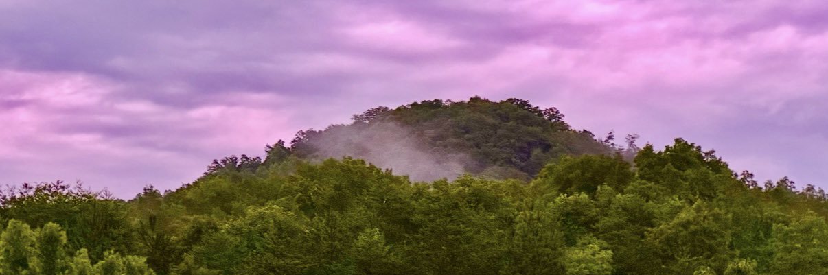 Mike's banner