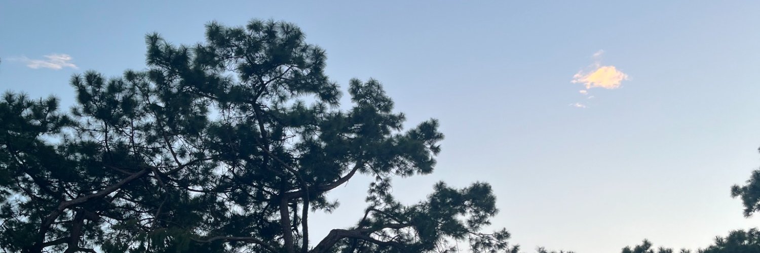 jeebx_'s banner