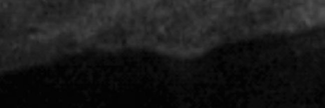 bee 𖼐꒱'s banner