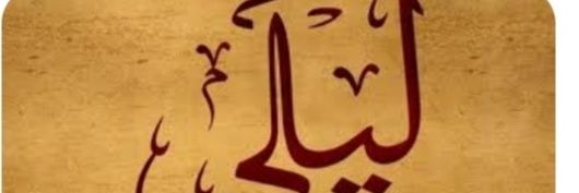 ليلى..♥️♥️🌺's banner
