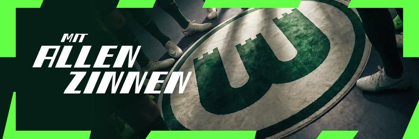 VfL Wolfsburg's banner
