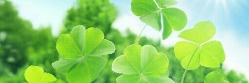 doe/mero ☁️🍀's banner