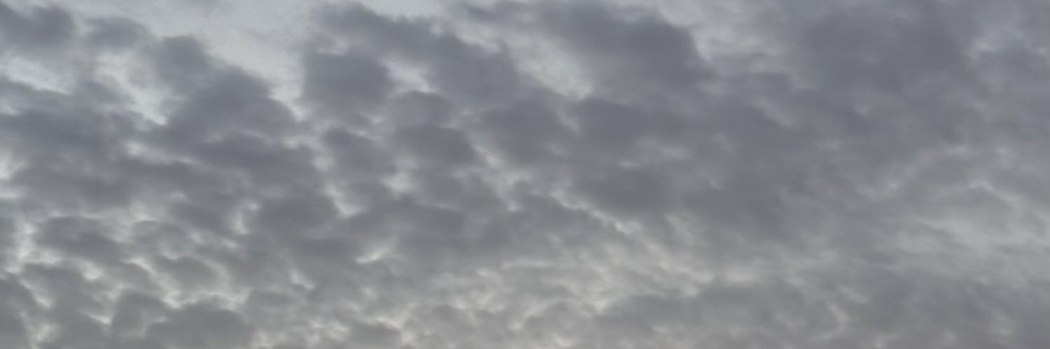 فيصل بن طلال's banner