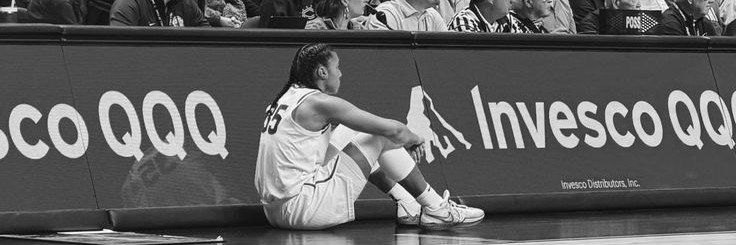 elle 🐻's banner