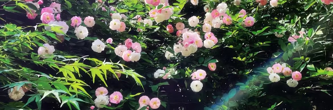 诗安穿搭🧦's banner
