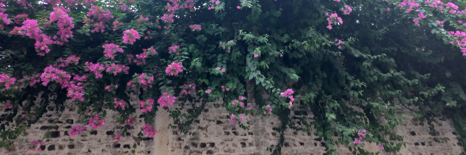 ٦'s banner